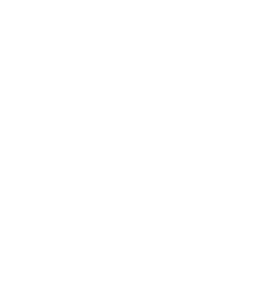 Vinyasa logo